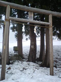 野沢温泉スキー場の鳥居100227_1620~0001.jpg