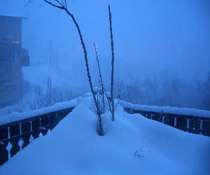 CIMG3301.吹雪の朝JPG.JPG