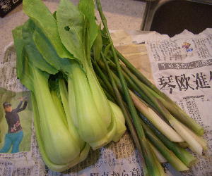 CIMG4170.青梗菜と茗荷の芽JPG.JPG
