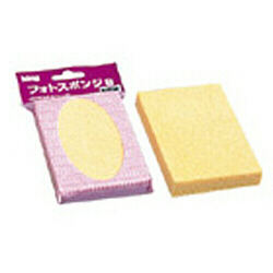 sponge.jpg