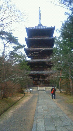 仁和寺　五重塔