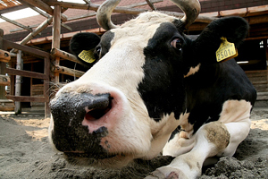 ※写真はイメージです