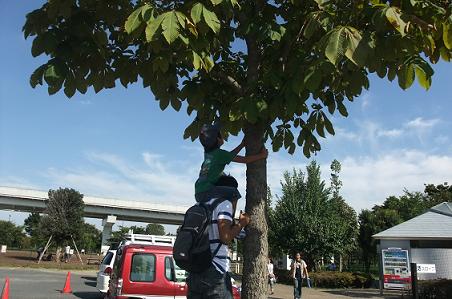 ０９－１３舎人公園セミ取り.jpg