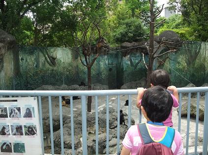 2009-05-23行船公園サル２.jpg