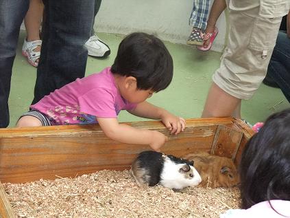 2009-05-23行船公園動物ふれあい広場.jpg