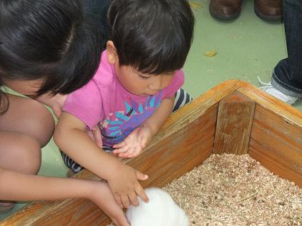 2009-05-23行船公園動物ふれあい広場２.jpg