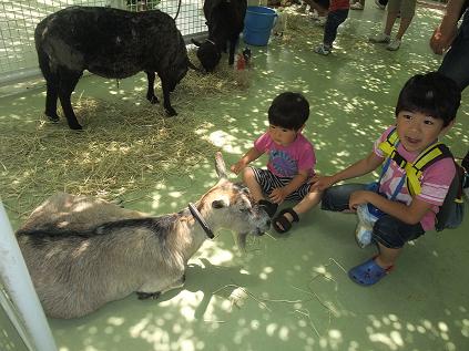 2009-05-23行船公園動物ふれあい広場４.jpg