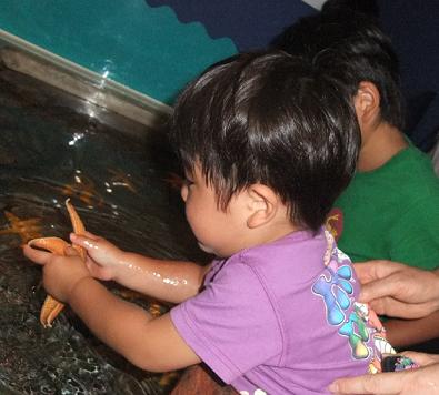 夏休みｰしながわ水族館9.jpg