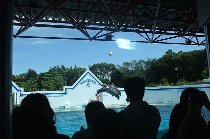 夏休みｰしながわ水族館5.jpg