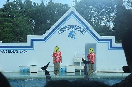 夏休みｰしながわ水族館6.jpg