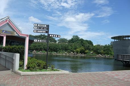 夏休みｰしながわ水族館11.jpg