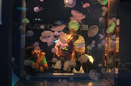 夏休みｰしながわ水族館4.jpg