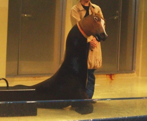 rakuten-burog2006 169.jpg