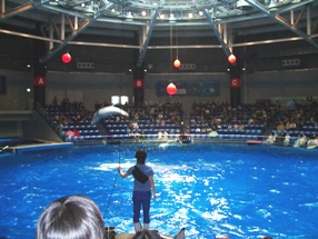 rakuten-burog2006 179.jpg