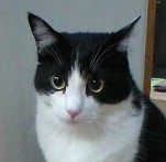 091203_1918~0001.jpg