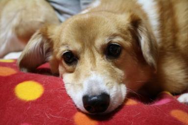 IMG_0004 のリサイズ画像.jpg