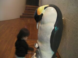 013_2いつものペンギンへの寄付.jpg