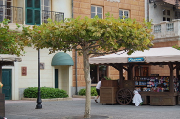 DSC_0176.jpg