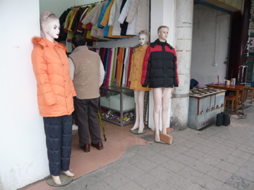 P1010155.jpg