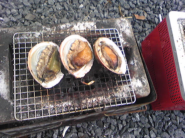アワビ８０００円.jpg