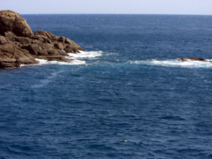 CIMG0651(blog).jpg