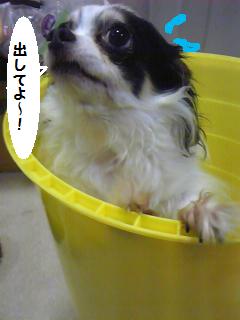 isunonaka.jpg