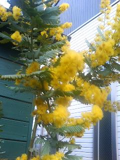 P1010148.JPG