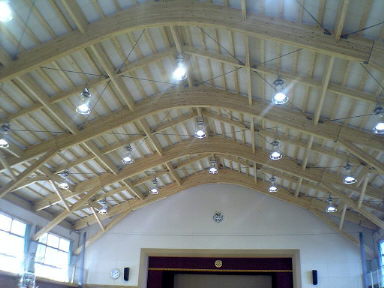 運動場が完成しました アクセク ウマノ奮闘記 楽天ブログ