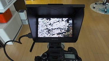 DSC01332.jpg