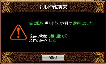 VS猫に風船.JPG