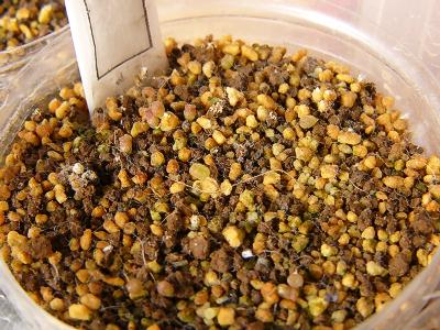 C316 ネリー 2008/01/14