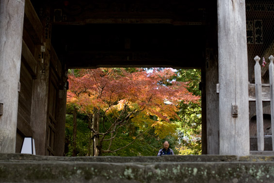 竹林寺にて