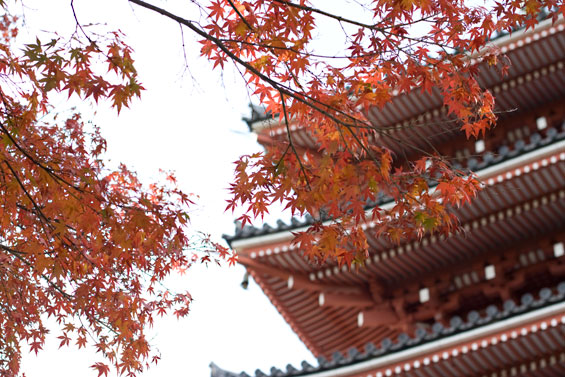 竹林寺にて