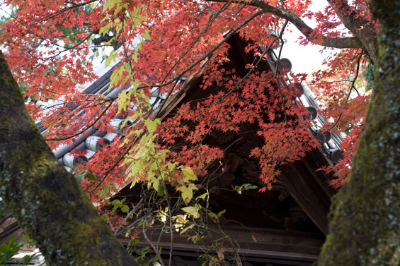 竹林寺にて