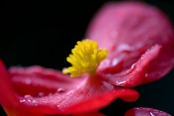 恵みの雨