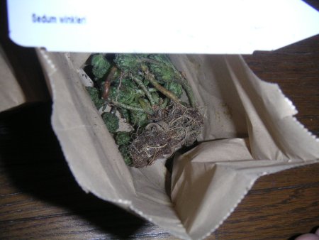 個別のバッグのなか