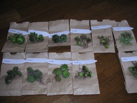 じゃじゃーん！