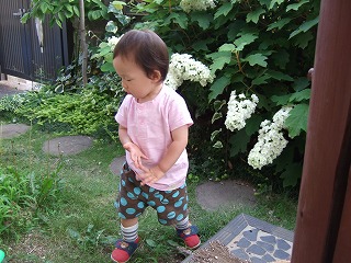 2008_06180040.jpg