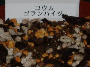 2009_0908_原種シクラメン　ゴランハイツ