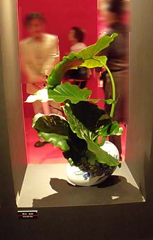 DSCN0770.JPG