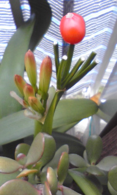 2010-04-14 14:53:36