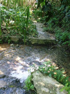 長間湧泉の流れ先