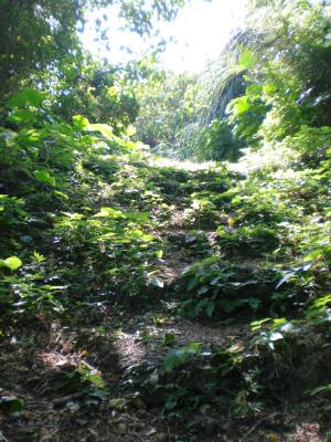 長間湧泉登り道１