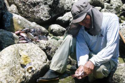 魚のうろこを取るおじさん