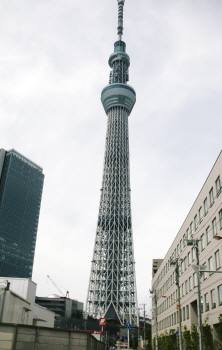 東武本社前のツリー