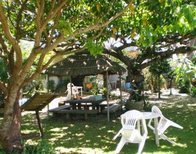 島んちゅ宅あずま屋１