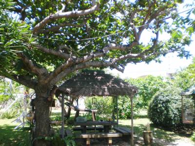 島んちゅ宅あずま屋２