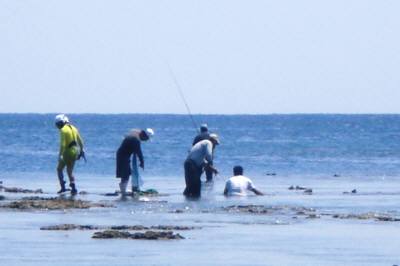 サンゴ礁で漁をする人