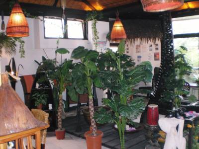 ロハスブィラロビー