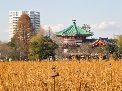 上野弁天堂